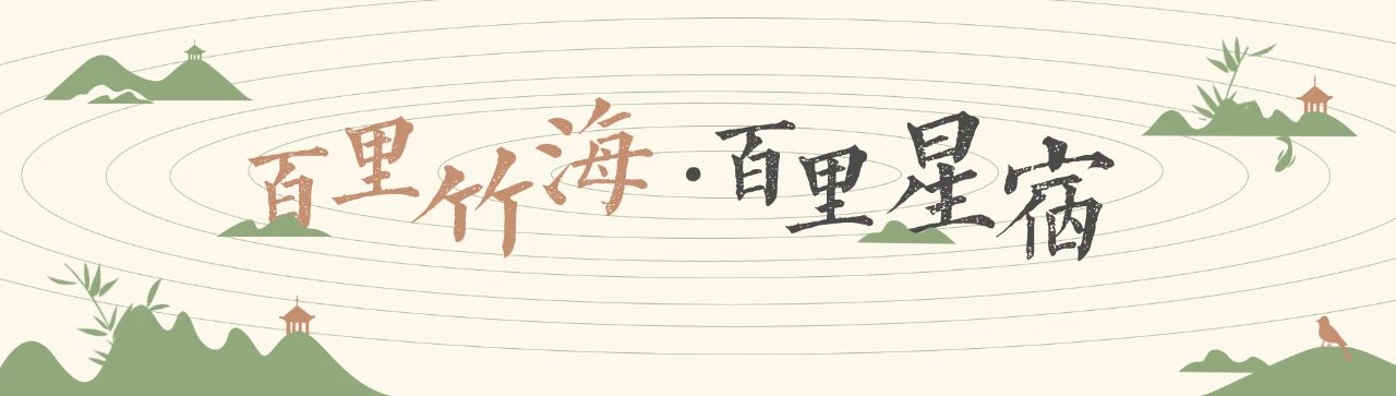 百里竹海 │ 24个节气，24种不同的美！
